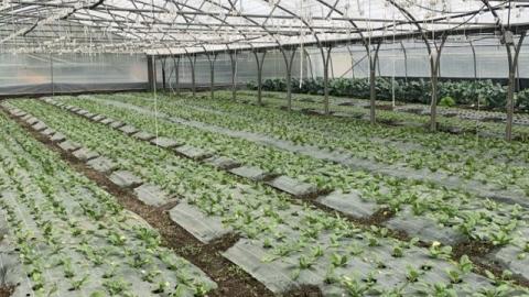 Stage en exploitation 
agricole