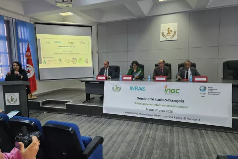 Séminaire tunisie