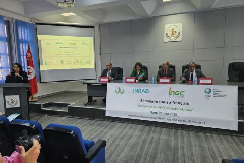 Séminaire tunisie